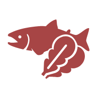 身近な旬の食材を味わう1